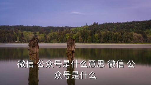  微信 公眾號是什么意思 微信 公眾號是什么