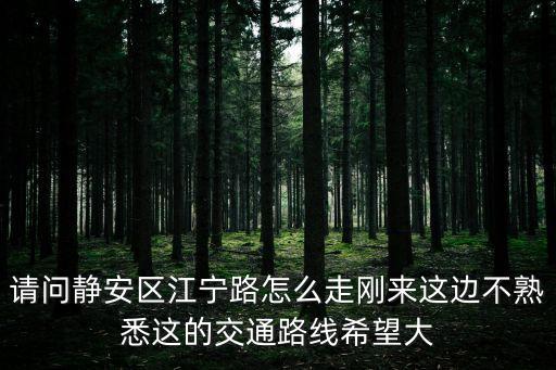 請問靜安區江寧路怎么走剛來這邊不熟悉這的交通路線希望大