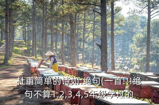 奇欠,久居異國旅客回家了詩人以鮮艷色彩對比