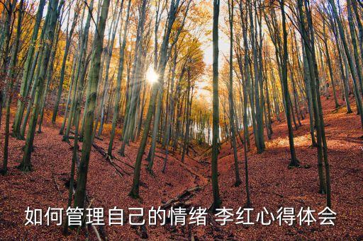 情緒管理心得體會，如何管理自己的情緒 李紅心得體會