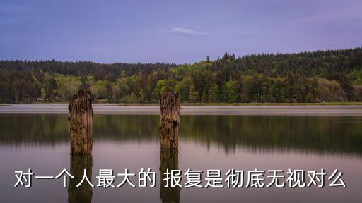 對一個(gè)人最大的 報(bào)復(fù)是徹底無視對么