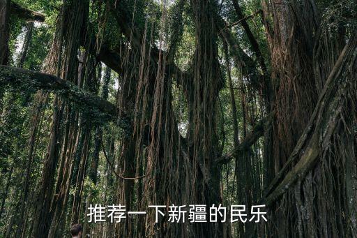 新疆歌曲大全，推薦一下新疆的民樂