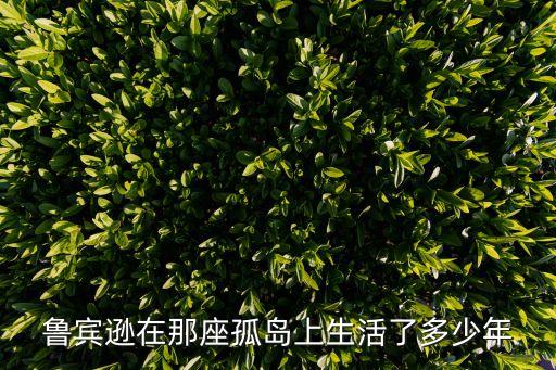 魯賓遜在那座孤島上生活了多少年