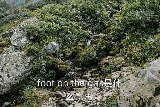 非正式訪問，drop的用法短語例如drop in onat 為何意