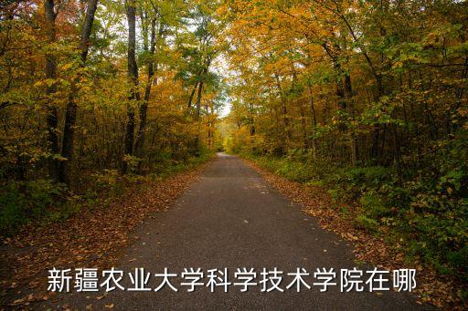 新疆農(nóng)業(yè)大學科學技術(shù)學院在哪