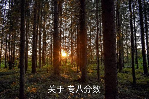 專八題型,英語專業八級考試不及格可再補考一次