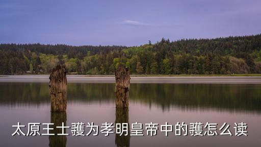 太原王士彟為孝明皇帝中的彟怎么讀