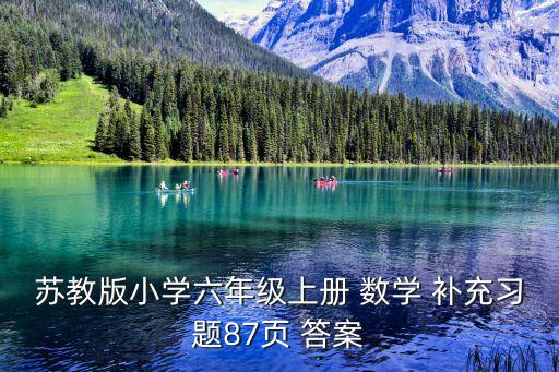 數學補充答案六上,正確答案出爐