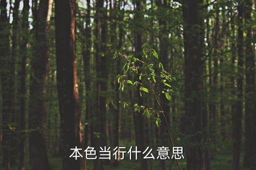 本色當行，本色當行什么意思