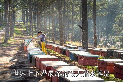 載人潛水器，蛟龍?zhí)栞d人潛水器