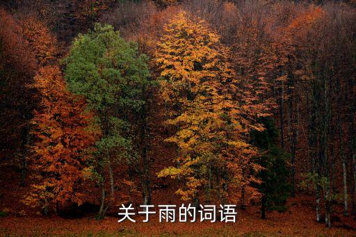 形容雨的詞語，形容雨的詞匯有些什么