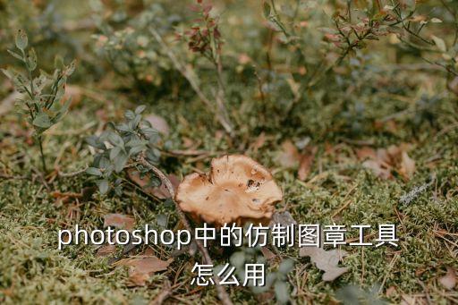 ps仿制圖章工具，photoshop中的仿制圖章工具怎么用