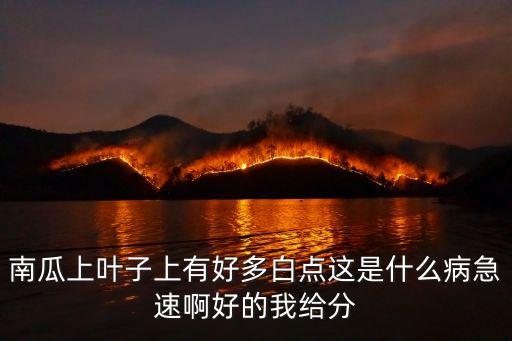 南瓜白粉病，南瓜有白粉病能吃嗎求求急現(xiàn)在要煮了