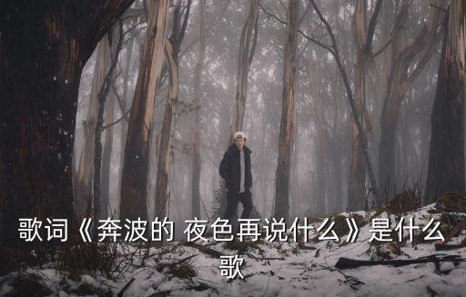 歌詞《奔波的 夜色再說什么》是什么歌