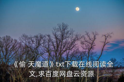 《偷 天魔道》txt下載在線閱讀全文,求百度網盤云資源