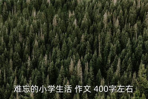 我的小學，難忘的小學生活 作文 400字左右