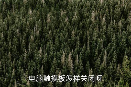 電腦觸摸板怎樣關(guān)閉呀
