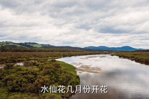 水仙花幾月份開花，水仙開花時間大概是幾月份