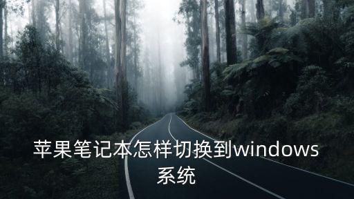 蘋果筆記本怎樣切換到windows系統(tǒng)
