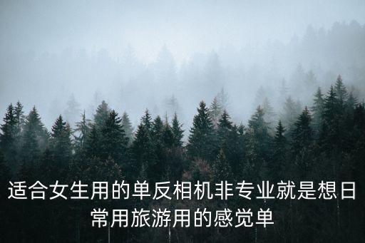 適合女生用的單反相機(jī)非專業(yè)就是想日常用旅游用的感覺單
