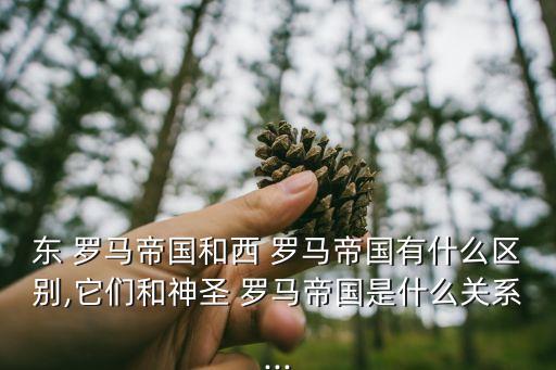 東 羅馬帝國(guó)和西 羅馬帝國(guó)有什么區(qū)別,它們和神圣 羅馬帝國(guó)是什么關(guān)系...