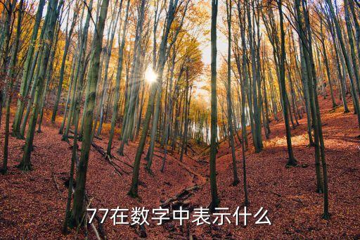 77什么意思，77在數(shù)字中表示什么