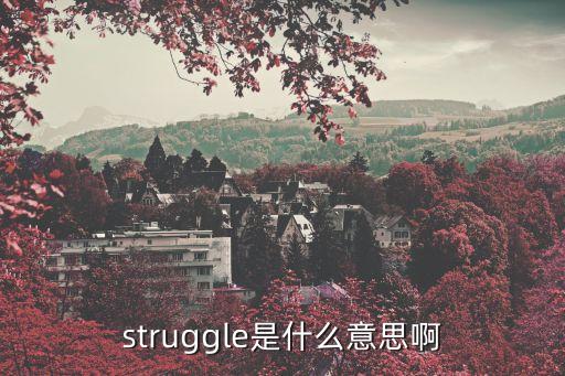 struggle是什么意思啊
