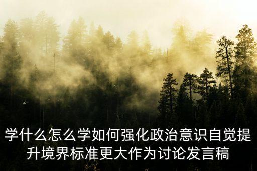 學(xué)什么怎么學(xué)如何強(qiáng)化政治意識(shí)自覺提升境界標(biāo)準(zhǔn)更大作為討論發(fā)言稿