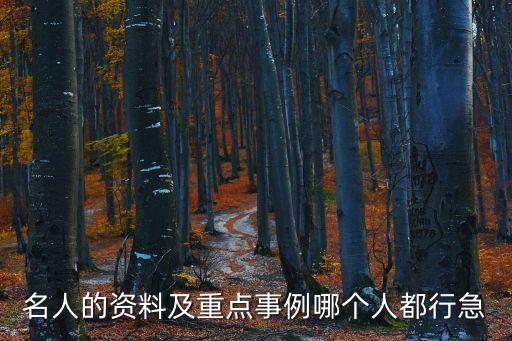 名人的資料及重點事例哪個人都行急