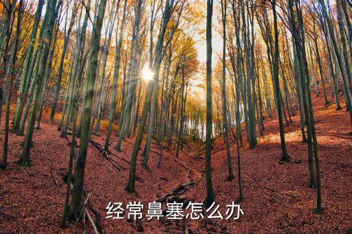 經(jīng)常鼻塞怎么辦