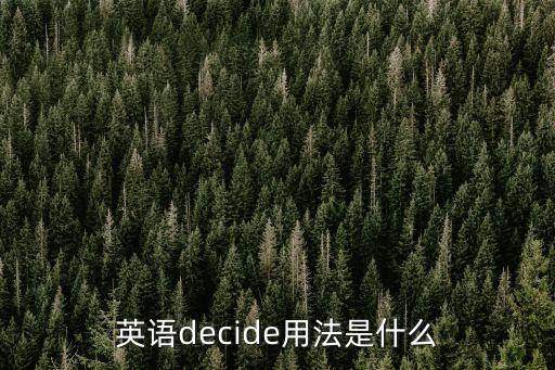 decide用法，decide 的用法