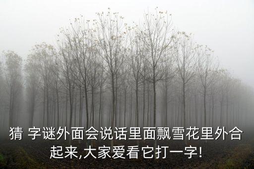 猜 字謎外面會說話里面飄雪花里外合起來,大家愛看它打一字!