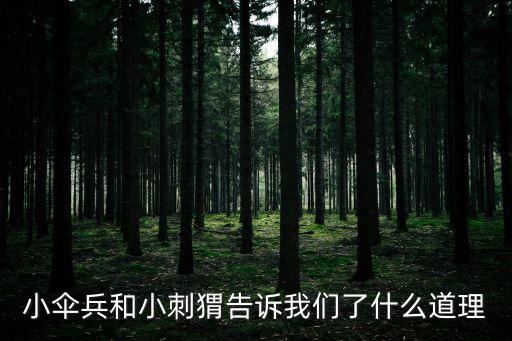 小傘兵和小刺猬，小傘兵和小刺猬的故事的主要內容