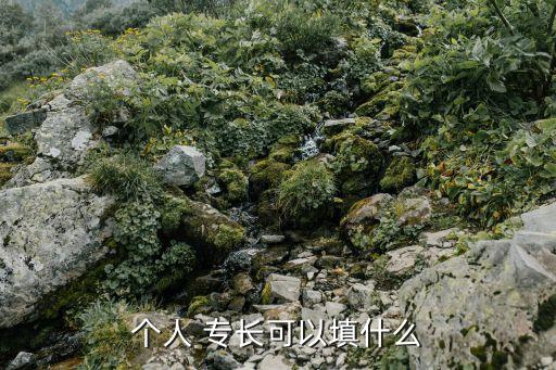 個人 專長可以填什么