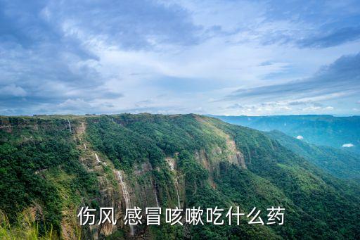 傷風感冒,中醫感冒is傷風一般用韓風感冒粒、感冒清等