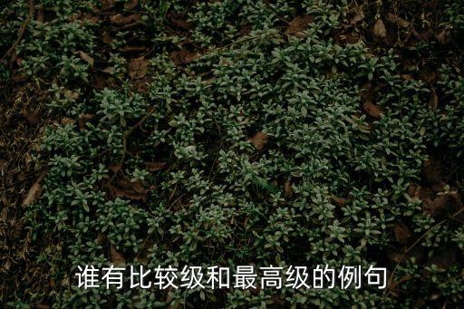 誰有比較級(jí)和最高級(jí)的例句
