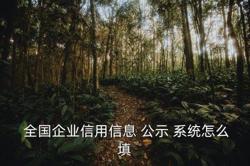  全國企業信用信息 公示 系統怎么填
