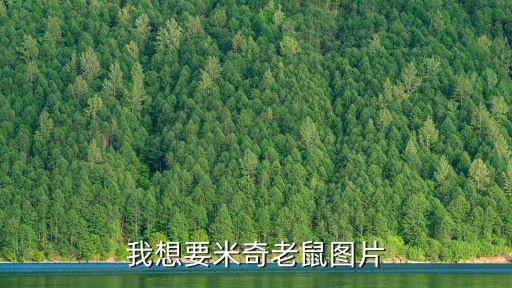 米老鼠圖片，哆啦A夢米老鼠等卡通圖片