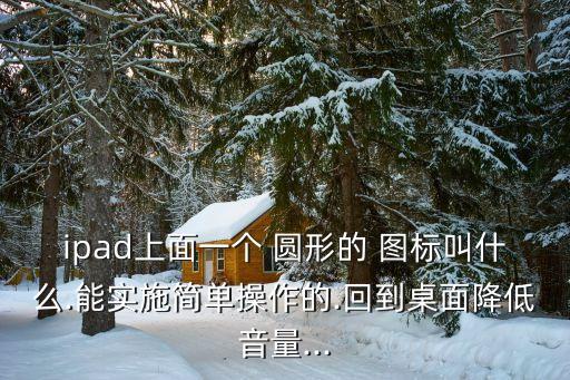 ipad上面一個 圓形的 圖標叫什么.能實施簡單操作的.回到桌面降低音量...