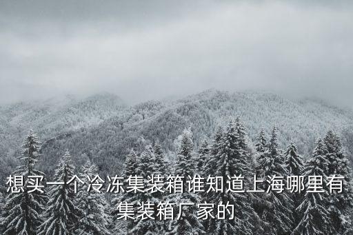 想買一個冷凍集裝箱誰知道上海哪里有集裝箱廠家的
