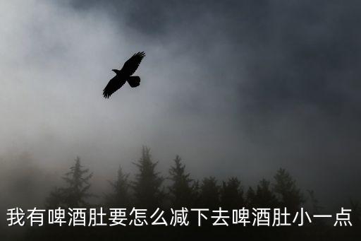 啤酒肚怎么減，我有啤酒肚要怎么減下去啤酒肚小一點
