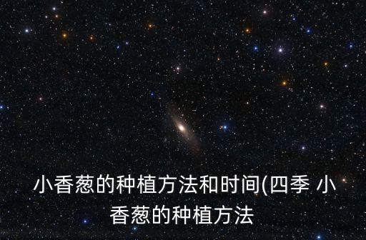  小香蔥的種植方法和時間(四季 小香蔥的種植方法