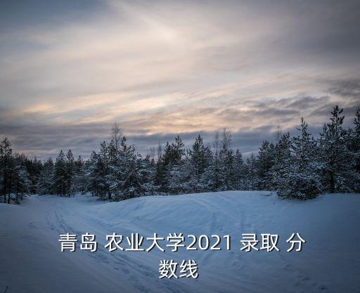  青島 農業大學2021 錄取 分數線