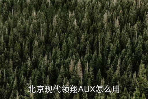 北京現(xiàn)代領翔AUX怎么用