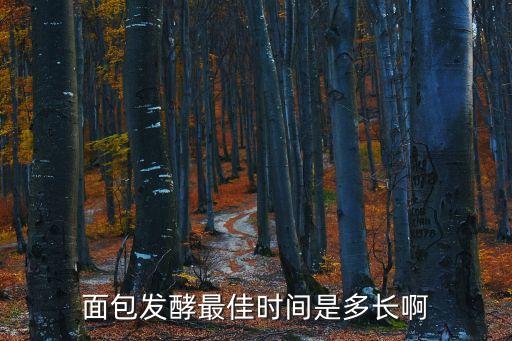 后發酵，茶葉中半發酵全發酵后發酵有什么區別謝謝