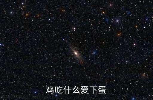 雞吃什么下蛋多，雞用什么飼料下蛋多