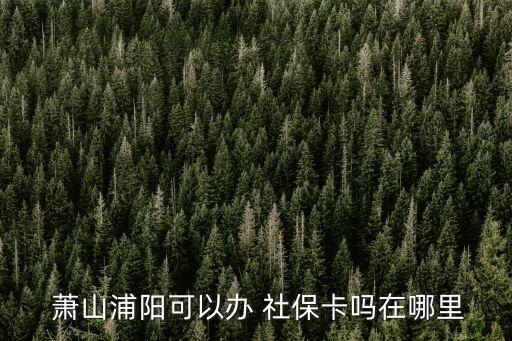 蕭山社保,蕭山濮陽人社社保辦證窗口開放辦理社保卡業(yè)務(wù)