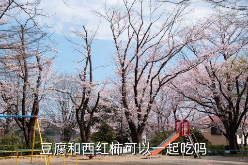 西紅柿豆腐，番茄和豆腐怎么做能更好吃