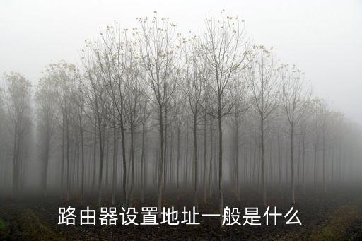 路由器設置地址一般是什么