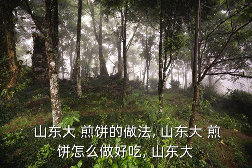  山東大 煎餅的做法, 山東大 煎餅怎么做好吃, 山東大